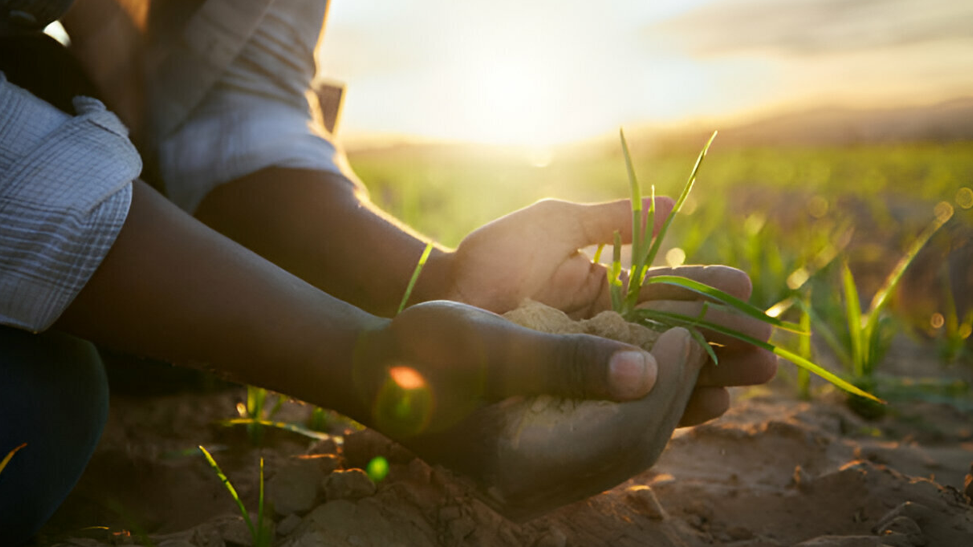 Community farming